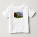 Search for region tshirts Colourful