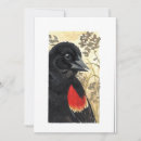 Search for black wings cards Red
