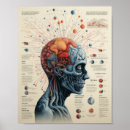 Search for physics posters Diagram