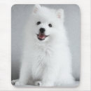Search for spitz mousepads Puppy