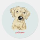 Search for labs stickers Yellow lab
