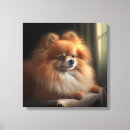 Search for pomeranian canvas prints Puppy