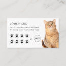 Search for pet shop business cards Cute