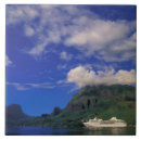 Search for polynesia tiles Landscape