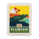 Search for florida magnets Illustration