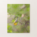 Search for warbler Prothonotary warbler