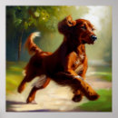 Search for irish setter posters Animal