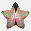 Search for fractal star Black