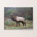 Search for elk puzzles Animal