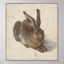 Search for hare posters Durer