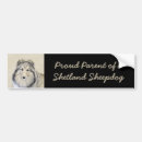 Search for collie dog bumper stickers Shetland sheepdog
