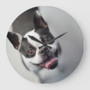 Search for french bulldog clocks Animals