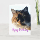 Search for calico cat birthday cards Cats
