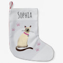 Search for siamese cat Cute