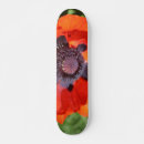 Search for orientation skateboards Oriental