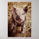 Search for collector posters Cute
