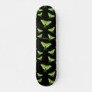 Search for moth skateboards Insect