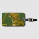 Search for forest leopard Big cat