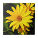 Search for yellow daisy tiles Ceramic