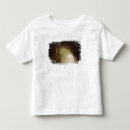 Search for grotto tshirts Joseph