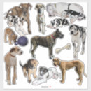 Search for great dane stickers Photography