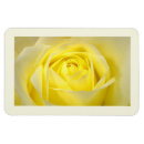 Search for rose macro magnets Photography