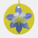 Search for rocky mountaineer christmas tree decorations Rockies