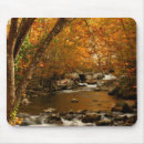 Search for smoky mousepads Forest