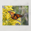 Search for insects rsvp cards Nature