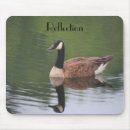Search for reflection mousepads Quotes
