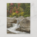 Search for river rocks postcards Autumn