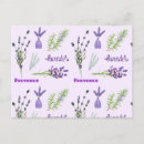 Search for summer birthday cards Lavender