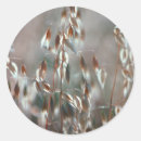 Search for oats stickers Agriculture