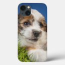 Search for photo ipad cases Pets
