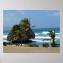 Search for breezy posters Nature