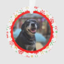 Search for mailman christmas tree decorations Appreciation