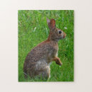 Search for bunny rabbit puzzles Nature