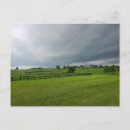 Search for lexington kentucky postcards Horse