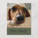 Search for dachshund get well cards Thinking of you