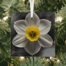 Search for daffodil christmas tree decorations Bouquet