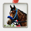 Search for thoroughbred horse christmas tree decorations Horses