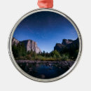 Search for dome christmas tree decorations Outdoors