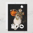 Search for pet halloween cards Boo