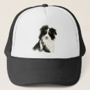 Search for border hats Collie