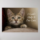Search for tabby art Cute