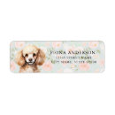 Search for white poodle dog return address labels Puppy