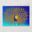 Search for strut postcards Peacock