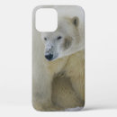 Search for bear cubs iphone cases Polar