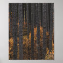 Search for autumn foliage posters Leaves