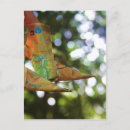 Search for origami postcards Paper